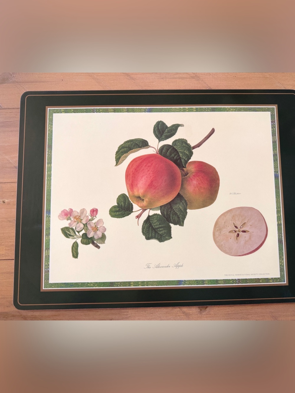 Pimpernel RHS Collection Cork Placemats Set 4 Botanical Fruit Hooker - Picture 5 of 8